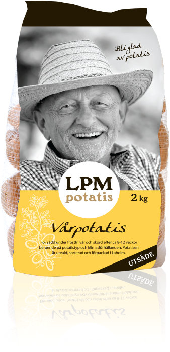 Sättpotatis Rocket 2 kg